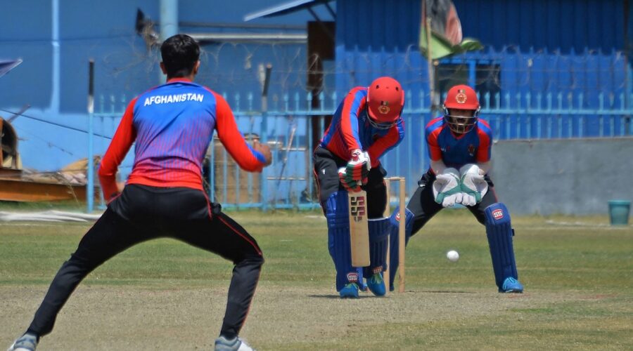 Don't Punish Men's Team, Former Afghanistan Women's Cricket Chief Pleads